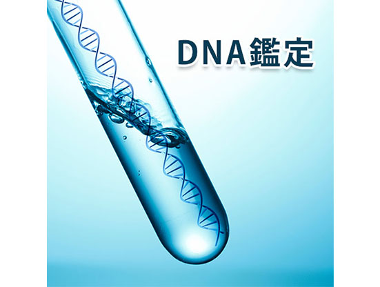 認知の訴え・DNA鑑定